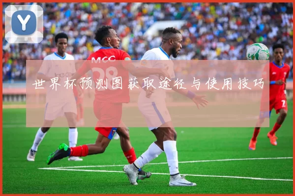 世界杯预测图获取途径与使用技巧