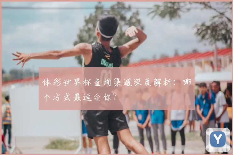 体彩世界杯查询渠道深度解析:哪个方式最适合你?
