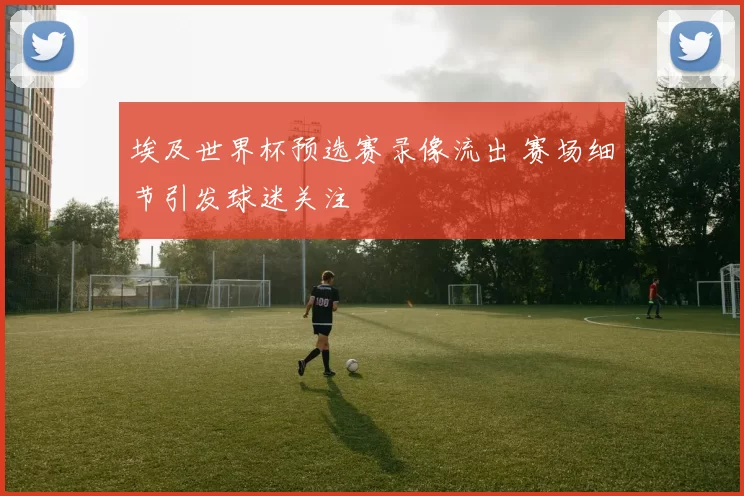 埃及世界杯预选赛录像流出 赛场细节引发球迷关注