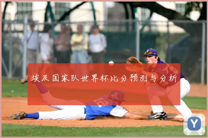 埃及国家队世界杯比分预测与分析