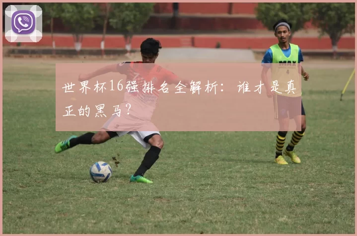 世界杯16强排名全解析：谁才是真正的黑马？