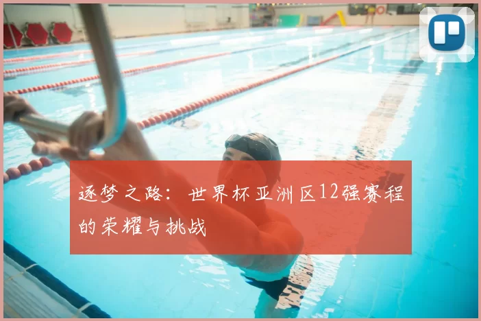 逐梦之路:世界杯亚洲区12强赛程的荣耀与挑战