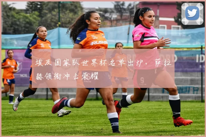 埃及国家队世界杯名单出炉,萨拉赫领衔冲击荣耀