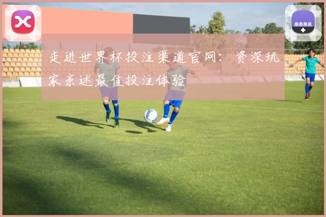 走进世界杯投注渠道官网：资深玩家亲述最佳投注体验