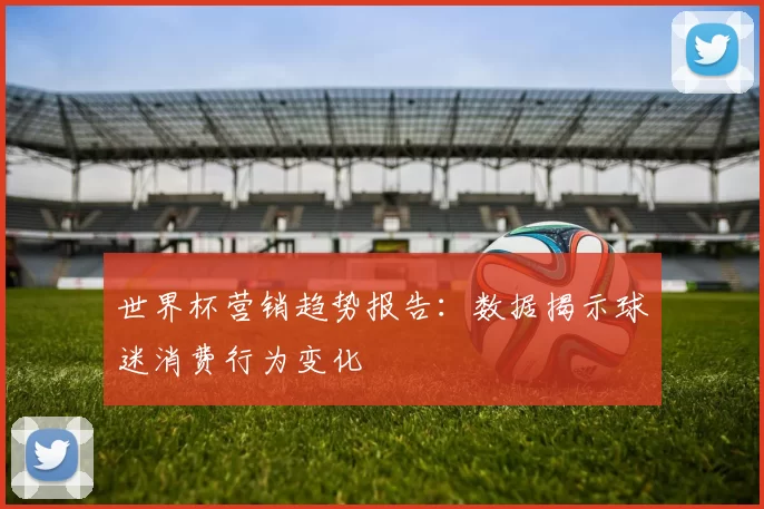 世界杯营销趋势报告:数据揭示球迷消费行为变化