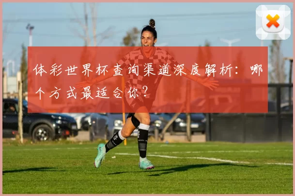 体彩世界杯查询渠道深度解析：哪个方式最适合你？