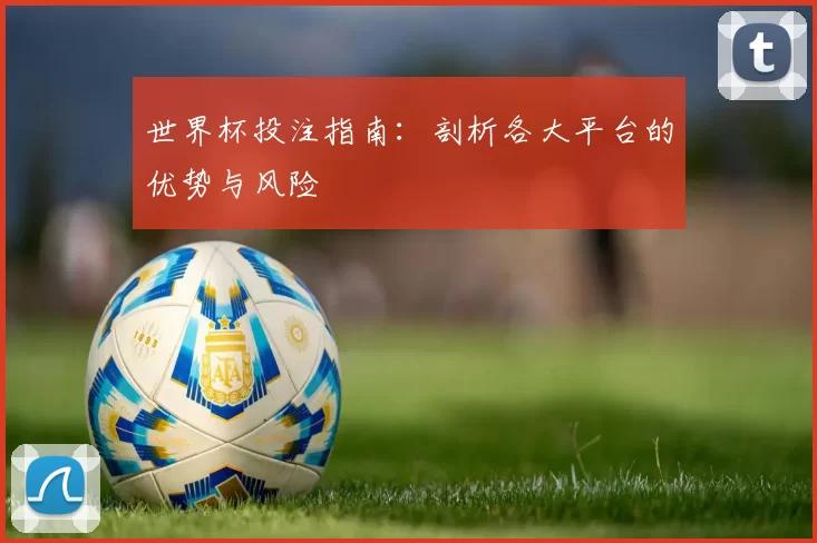 世界杯投注指南：剖析各大平台的优势与风险