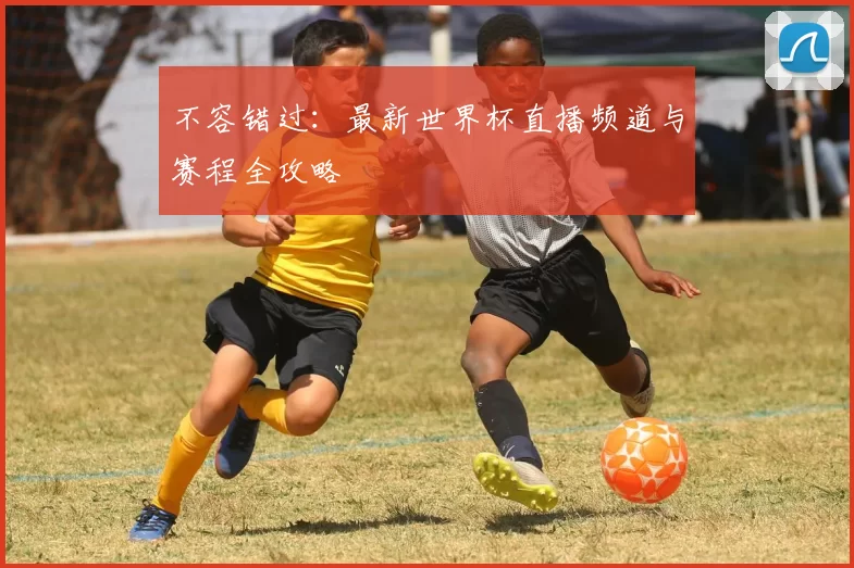 不容错过：最新世界杯直播频道与赛程全攻略