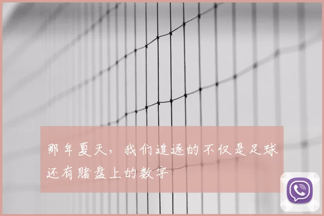 那年夏天，我们追逐的不仅是足球还有赌盘上的数字