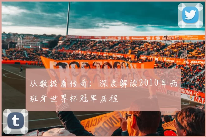 从数据看传奇:深度解读2010年西班牙世界杯冠军历程
