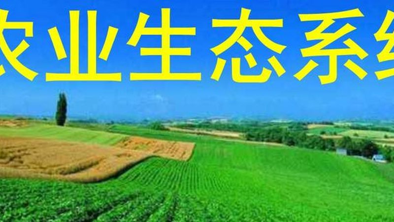 四川设施农业公司哪家好