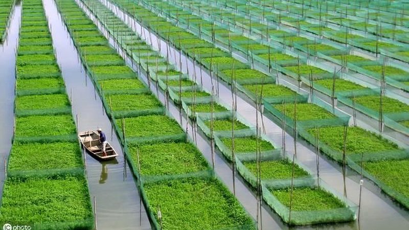 行业现状：一站式采购的兴起