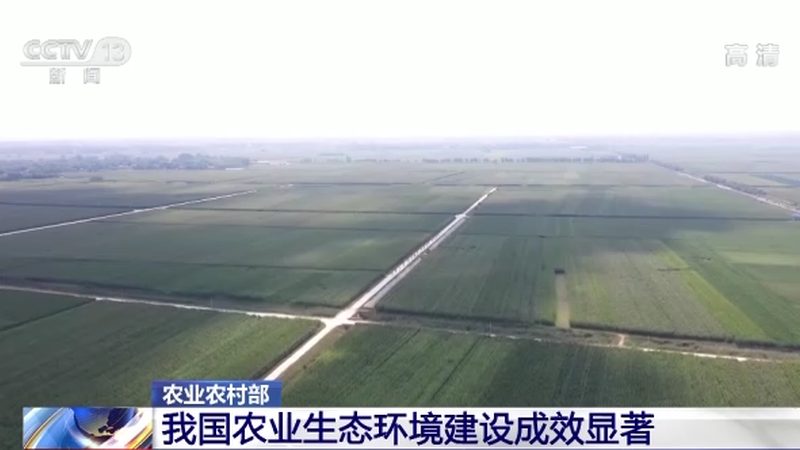 休闲农业观光园，如何打造生态旅游新亮点**