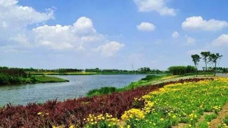 山东农资价格波动背后的市场逻辑**