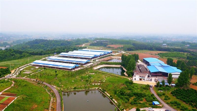 农业用地选址：科学规划，提升产出**