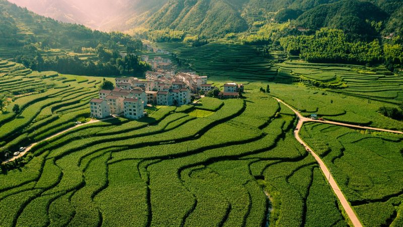 休闲农业与乡村旅游：本质区别与融合发展