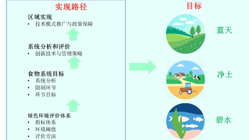 农民专业合作社注销公告撰写要点解析