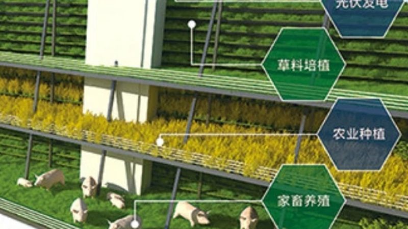 农资加盟店从选品到留客的运营闭环