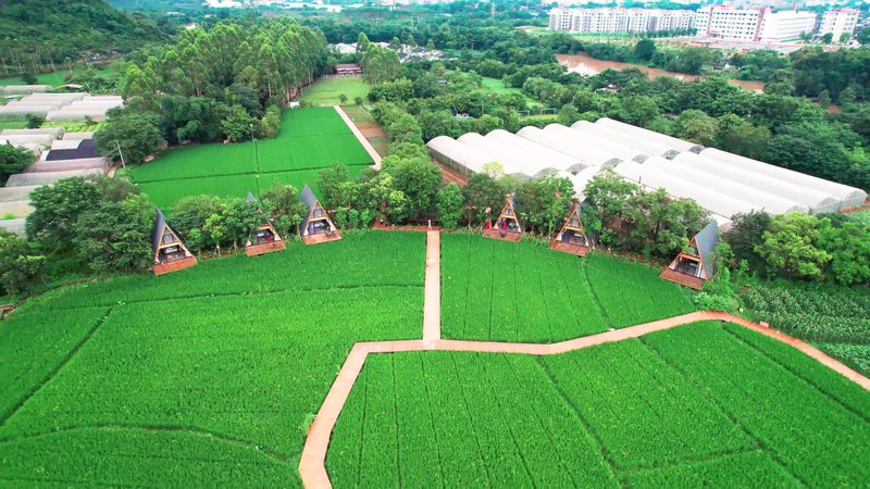 农产品配送系统：构建高效供应链的秘密武器