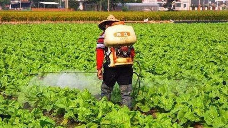 上海果蔬配送公司报价明细：揭秘背后的行业逻辑